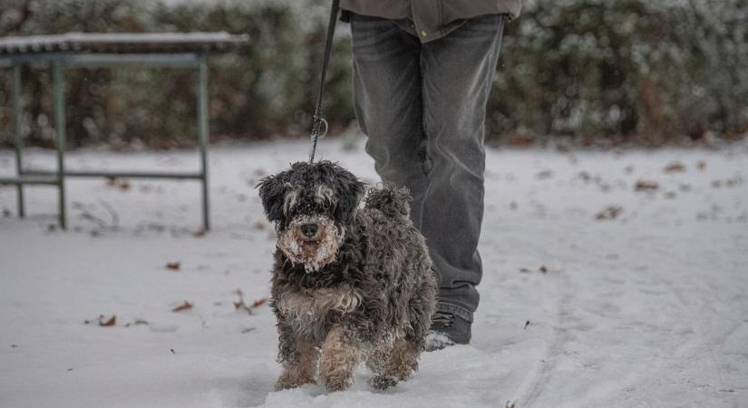 Hóesés vagy olvadás, mindent amit az időjárásról tudni érdemes