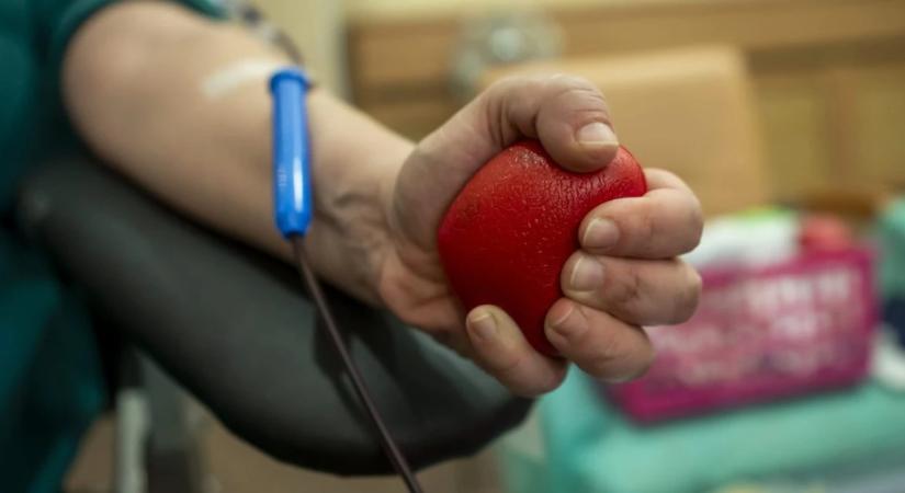 Csúcsra jár Bayer Zsolt feleségének plazmabiznisze