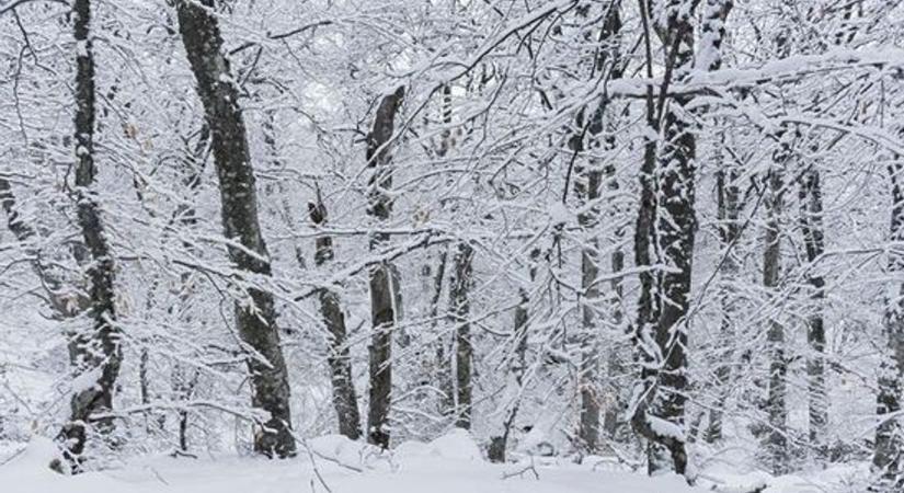 Hidegrekord Szombathelyen: közel volt a -30 fok