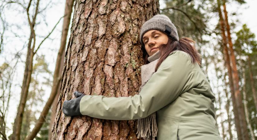 Napi horoszkóp 2026. január 8: sok égi segítséget kapunk