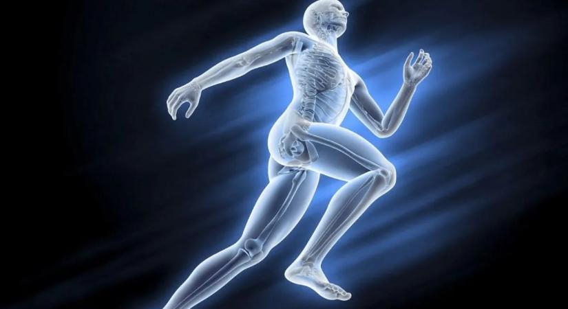 Eddig szinte mindenki rosszul tudta, több csontunk lehet, mint azt hittük