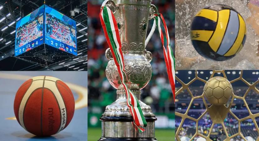 NEMZETI SPORT-ADATBANKOK