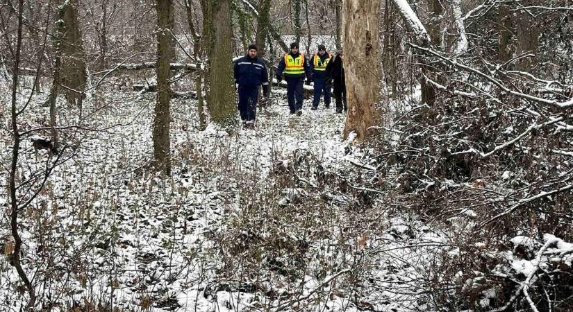 Síró szülők, dermesztő hideg: az összefogás mentette meg az eltűnt vásárhelyi fiút