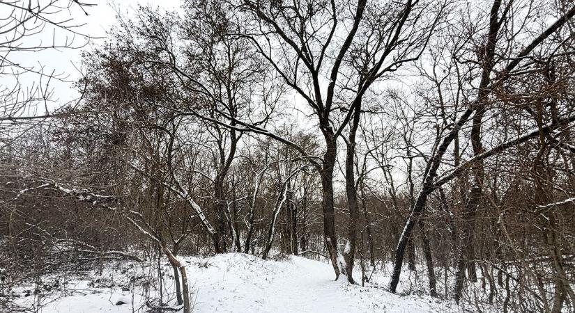 Élőben a hóhelyzetről: balesetek, információk
