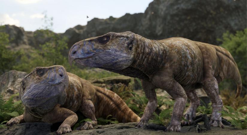 Szenzációs bakonyi felfedezés írhatja át mindazt, amit eddig az európai dinoszauruszokról gondoltunk