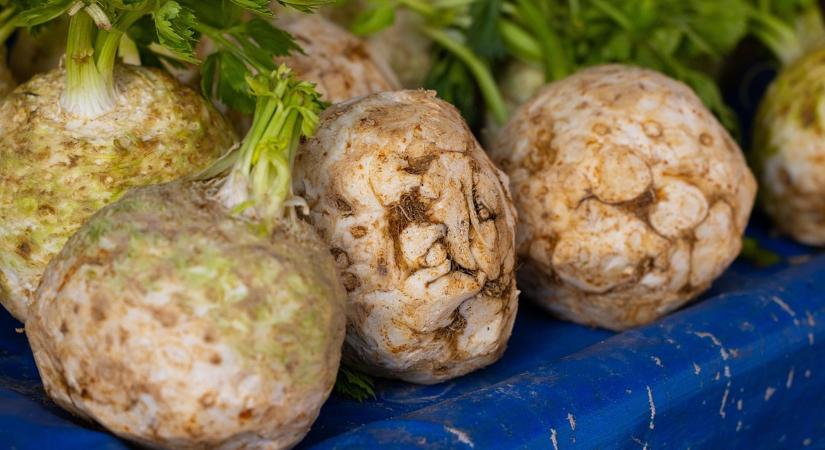 5 éves mélyponton a zeller ára, bosszankodnak a lengyel gazdák