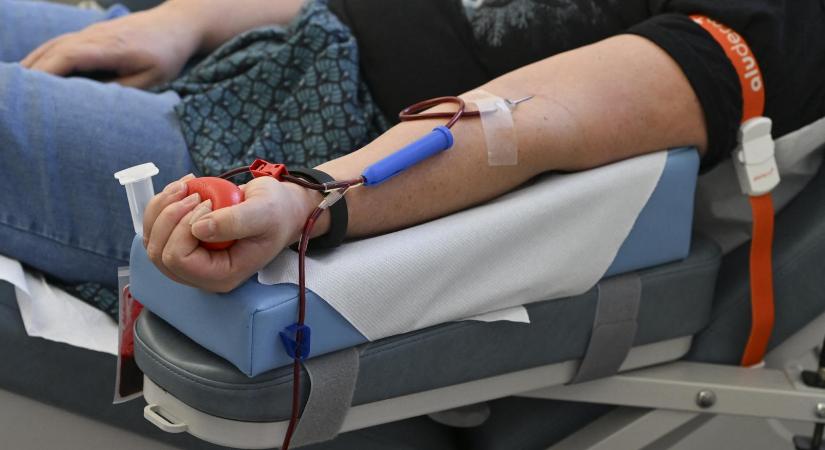 Versenynek nincs nyoma, a Bayer Zsolt felesége vezette OVSZ most 19,3 milliárdért adott el vérplazmát egy ismert tulajdonosi körnek