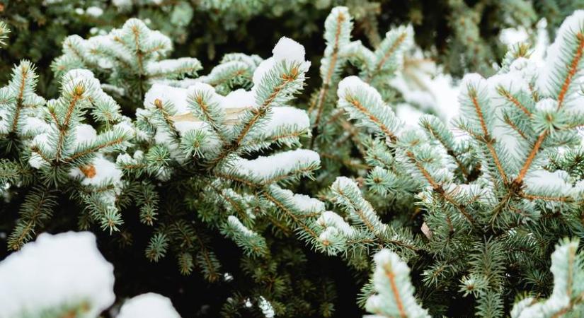 Ezt teszi testeddel a mínusz 20 fokos fagy – még a héten lecsap