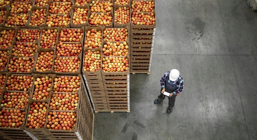 Egyre többen esznek lengyel almát az EU-n kívül is