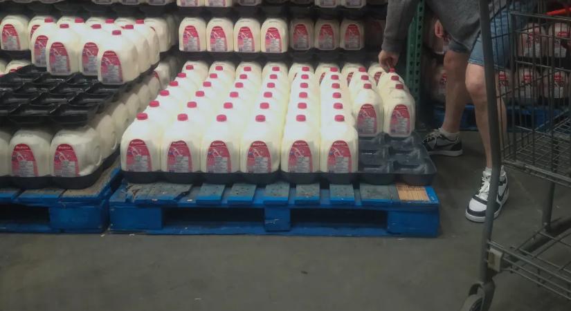 A nullás tejek vége: Amerika több fehérje és a teljes zsírtartalmú tejtermékek fogyasztására buzdít