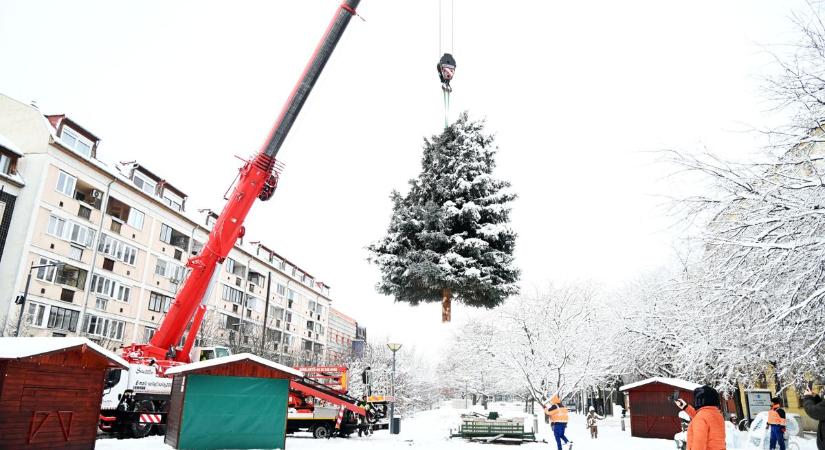 Eltűnt Szolnok éke a Kossuth térről – fotókon mutatjuk a hűlt helyét