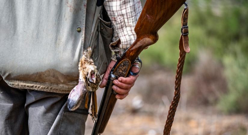 Figyelem! Beindul a vadászati szezon: ezt a hazai erdőt kerülje január 10-én
