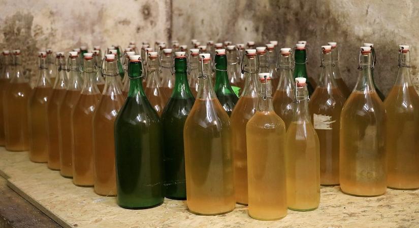 Házikerti pince szellőztetése: a téli „5 perces” szabály