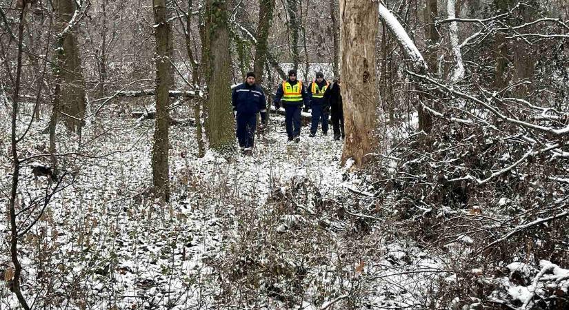 Vásárhely melletti erdőben találták meg az eltűnt fiút