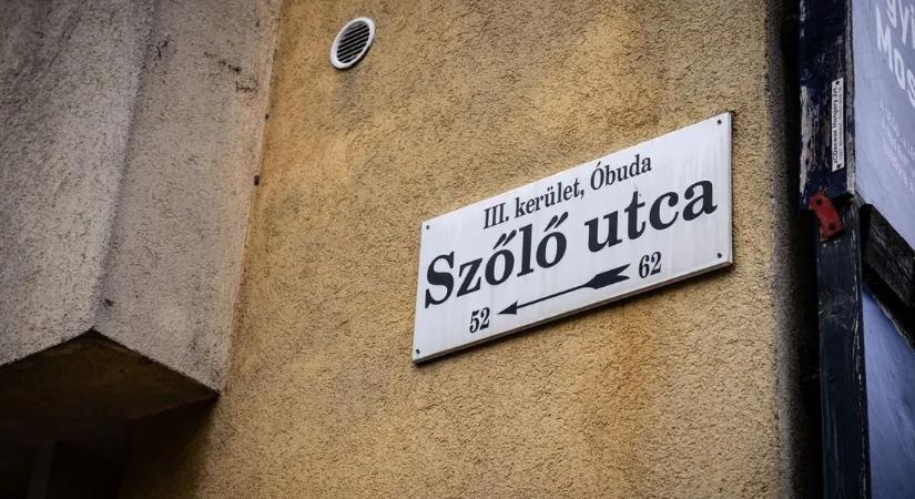 Egy hétig volt igazgató a Szőlő utcában, most újra vezető Debrecenben