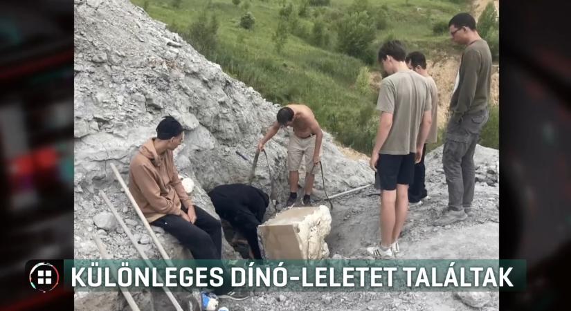 Különleges dínóleletet találtak
