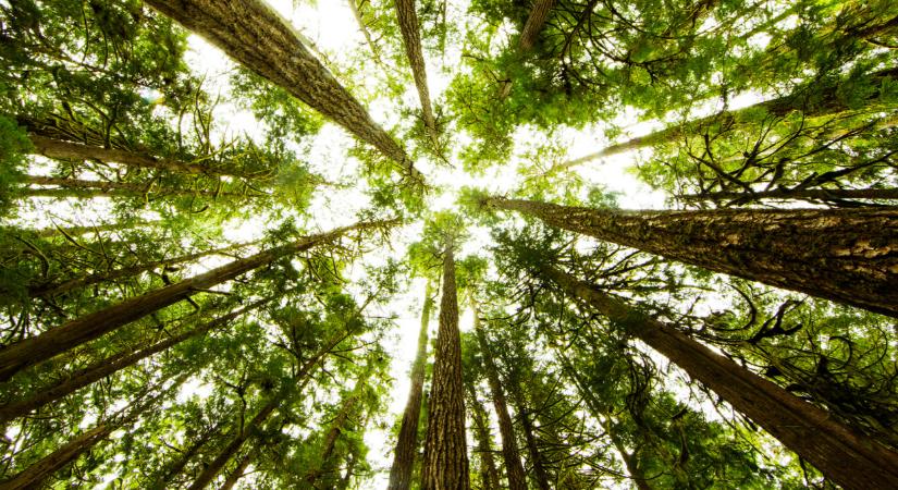 Magyar delegáció tárgyalt a törökökkel: nem akármire készül a két ország