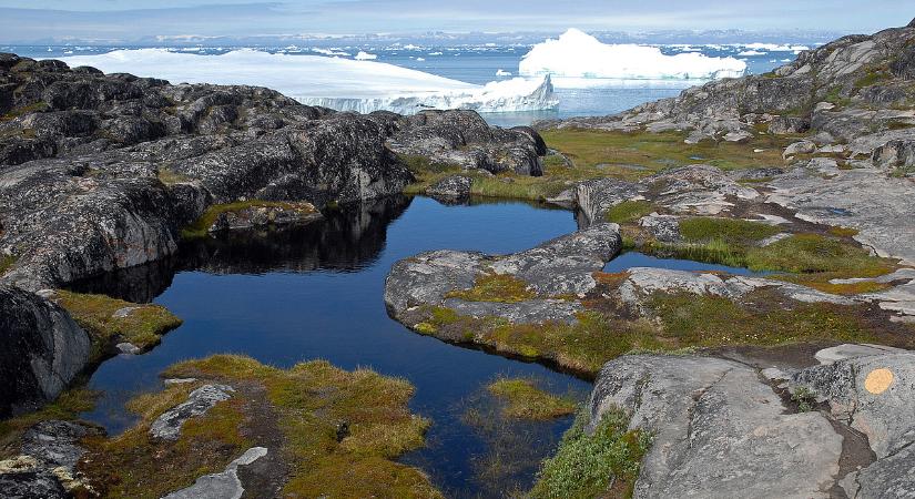 Trump Rubiót küldte maga helyett Dániába
