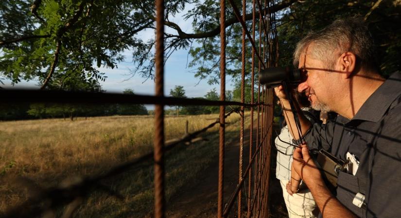 Három hónapra eltiltották a vezetéstől és megbírságolták a sofőrt, aki belehajtott Hadházyék autójába Hatvanpusztán