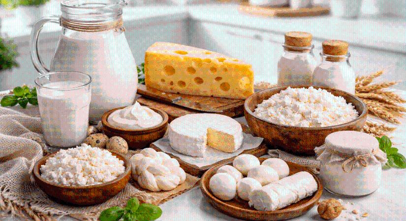 AKI: csökkentek a tejtermékek termelői és feldolgozói árai tavaly ősszel