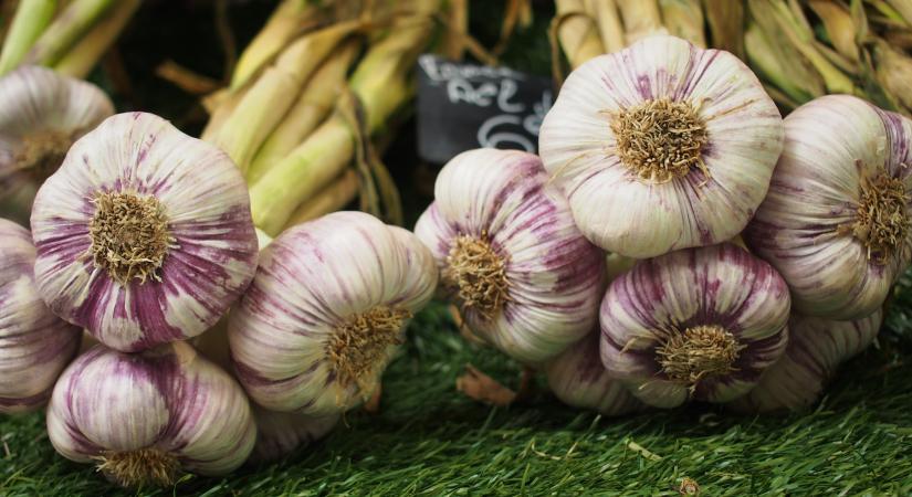 Nem fogjuk elhinni, honnan érkezik Magyarországra a fokhagyma!