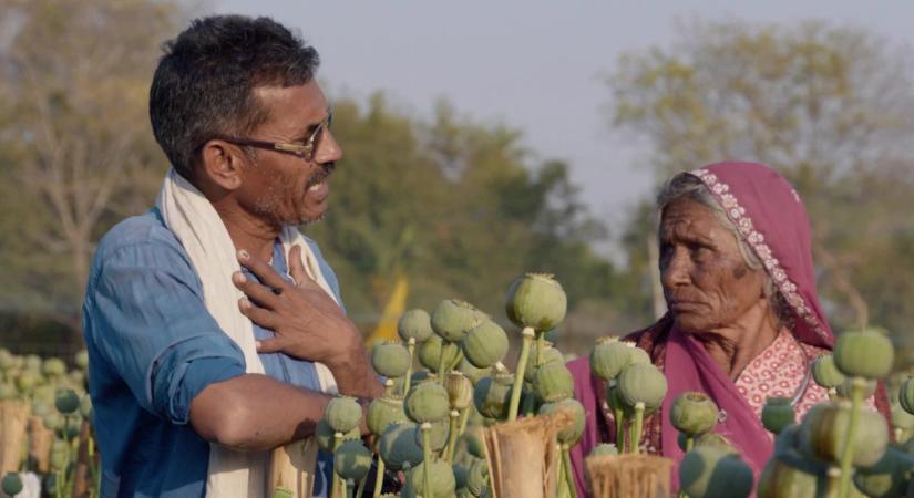 Igazság a korrupció felett: feltárták India sötét ópiumtitkait, mégis minden megy tovább