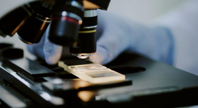 A láthatatlan mikrobák, amik csendben óvják az egészségünket