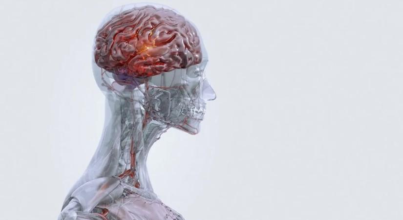 Ezt sosem gondolta volna, csupán ennyi idős a világ legfiatalabb Alzheimer-betege