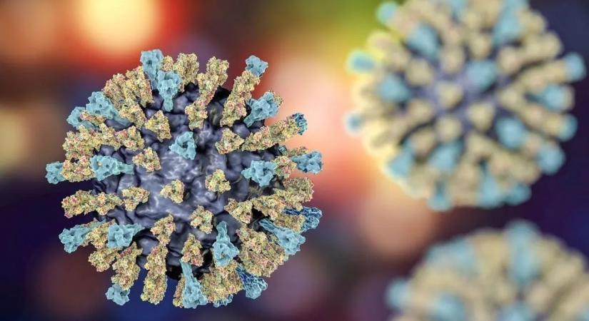 Rettenetes felismerés: emberi csontvázakban találták meg az ősi vírust, ami ma is bennünk él