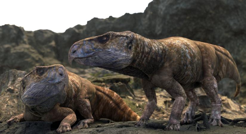 Különleges dinoszauruszlelet Magyarországon – Alapjaiban változtatja meg a dinók eurázsiai evolúcióelméletét