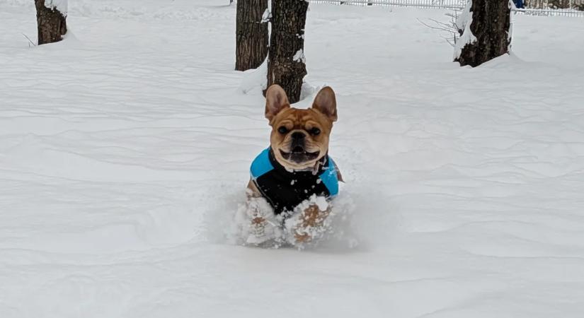 Rekordmínuszok és szűnni nem akaró havazás! Az időjárás nem tréfál