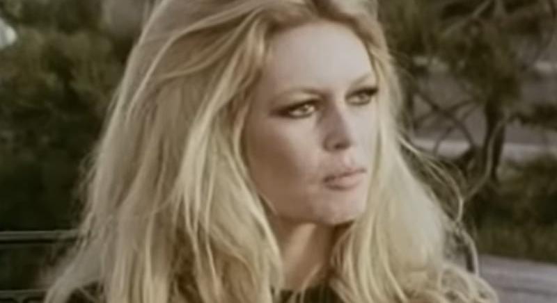 Kiderült, miért halt meg Brigitte Bardot – ezt mondta utoljára