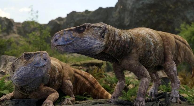 Érdemes megjegyezni ennek a dinoszaurusznak a nevét - nagy rejtély oldódott meg a segítségével