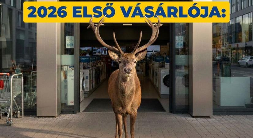 Lecsapott az újévi szarvasra a műszaki bolt – itt a tél reklámja