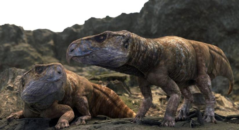 Évtizedes rejtélyt oldott meg egy Magyarországon talált dinoszauruszkoponya