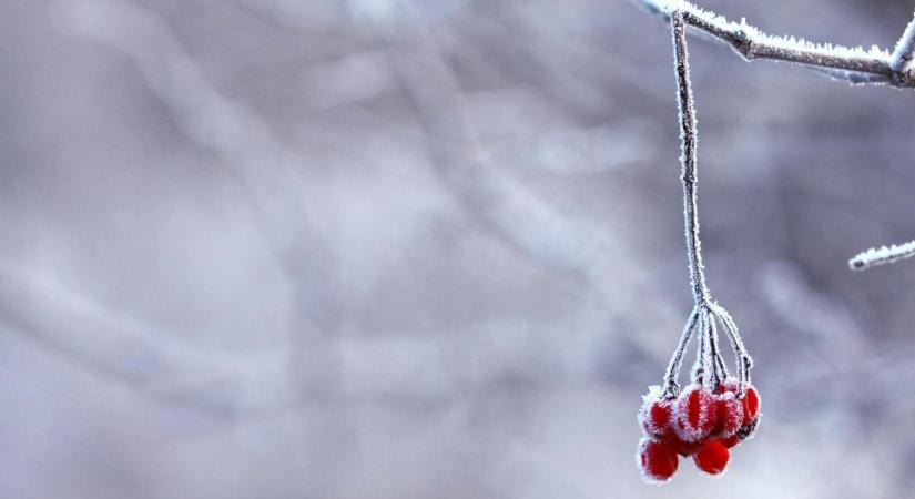 Sarkvidéki hideg jön: 17 vármegyére adtak ki riasztást, akár -20 fok is lehet