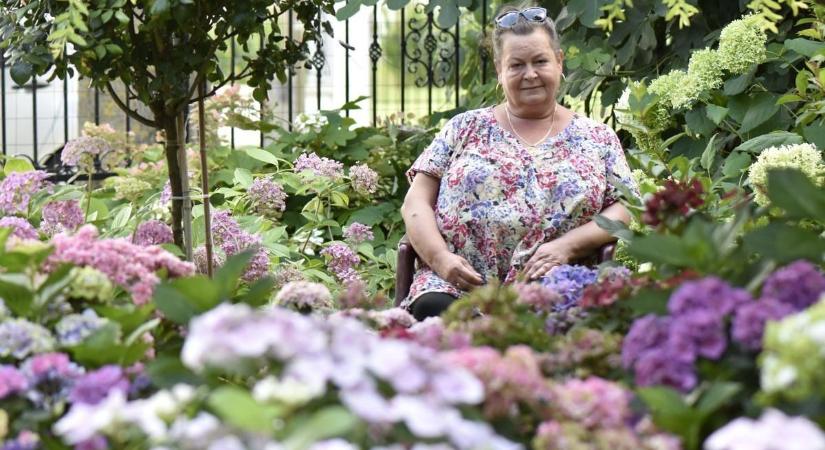 A Kisalföld legszebb embermeséi 2025-ből