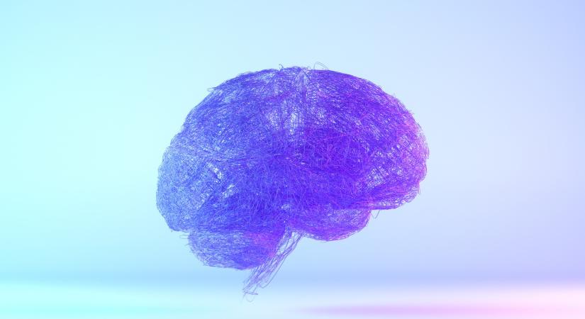 Kiderült, hogy az intelligencia legmagasabb formáját nem is méri az IQ-teszt