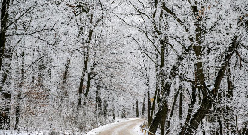 Olyan durva a helyzet Erdélyben, hogy iskolákat kellett bezárni