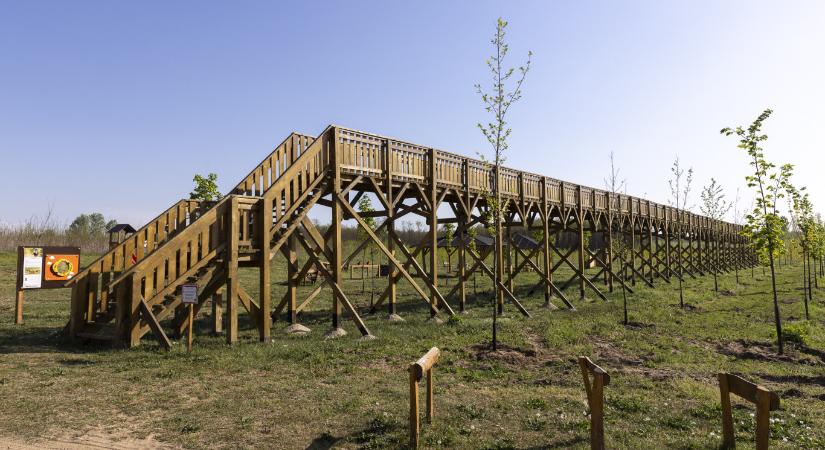 Gyanúsítottként hallgatták ki a volt polgármestert a nyírmártonfalvai lombkoronasétány ügyében