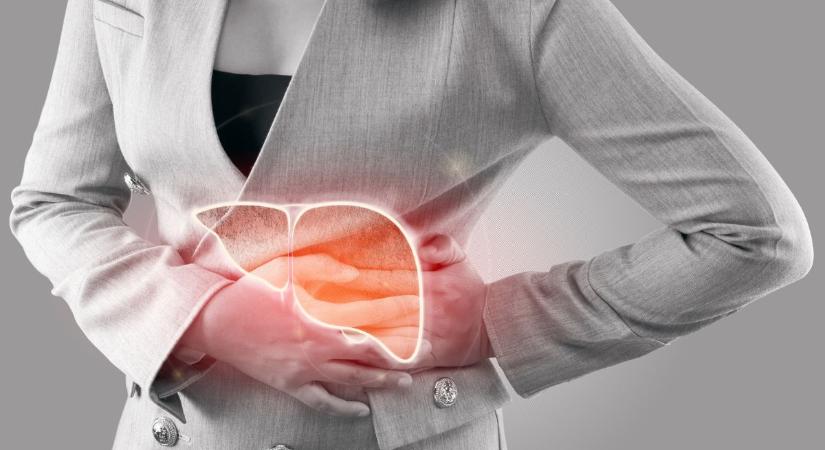 Aki jól bírja az alkoholt, valójában borzasztó hátrányban van – Tévhitek a zsírmájról