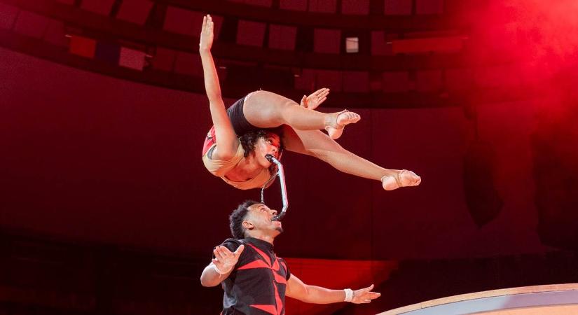 30 éves a Budapest Nemzetközi Cirkuszfesztivál