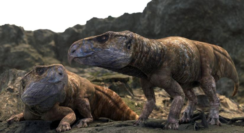 Szenzációs hazai felfedezés: a bakonyi lelet átírhatja az európai dinoszauruszok történetét