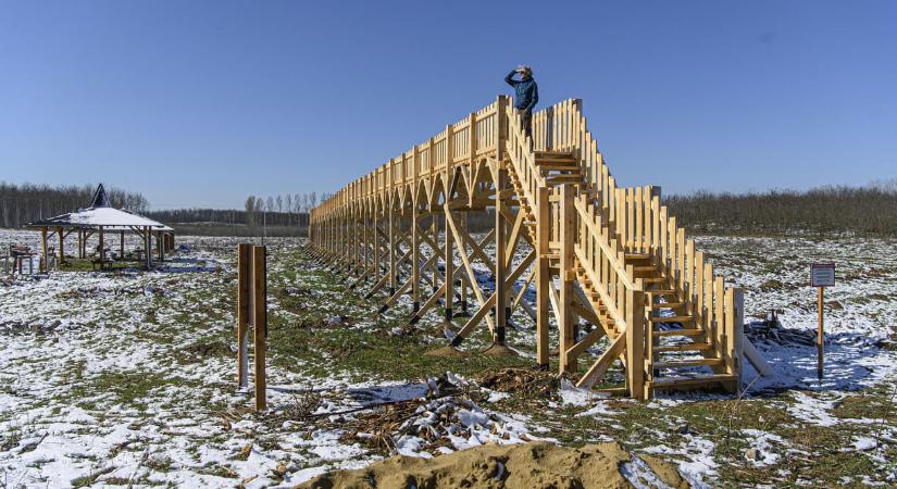 Gyanúsítottként hallgatták ki Nyírmártonfalva volt polgármesterét a lomb nélküli lombkoronasétány ügyében