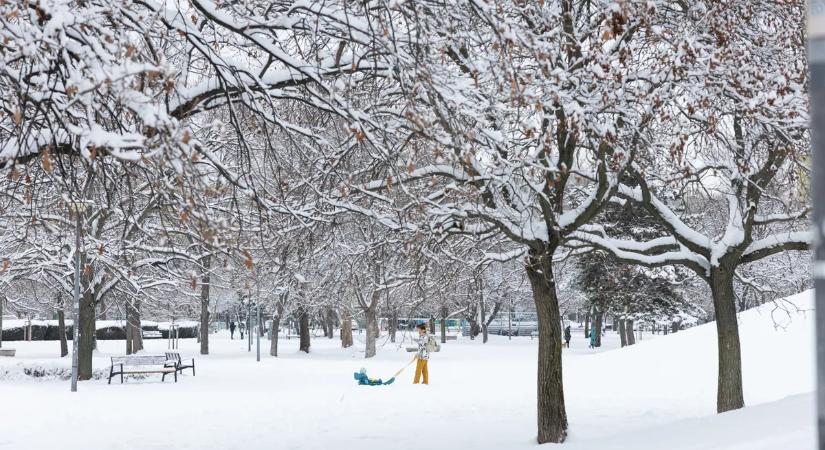 Éles helyzetben nyújtott segítséget a Magyar Honvédség