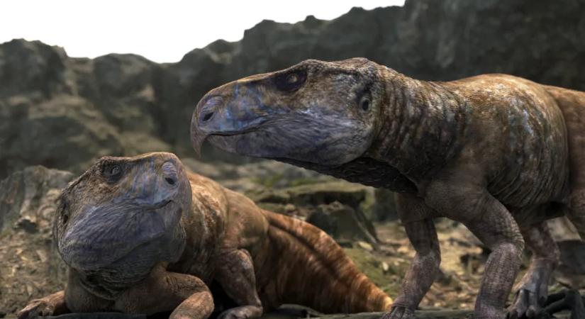 Hungarian researchers solve one of the most important mysteries surrounding European herbivorous dinosaurs