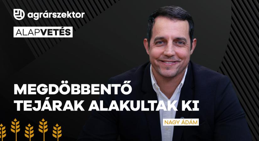 Beköszöntött a tejpiaci válság: megdöbbentő árak alakultak ki