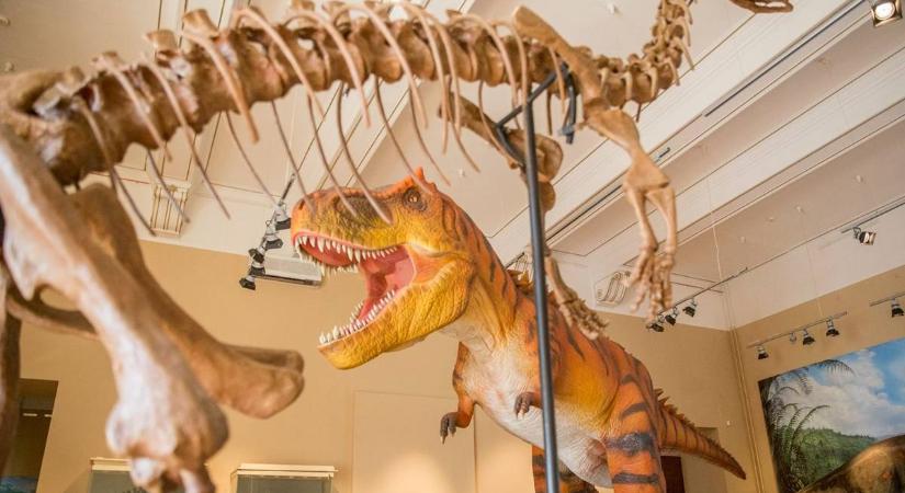 Átírja az eurázsiai dinoszauruszok evolúciójáról alkotott eddigi elképzeléseket egy Magyarországon talált koponyalelet