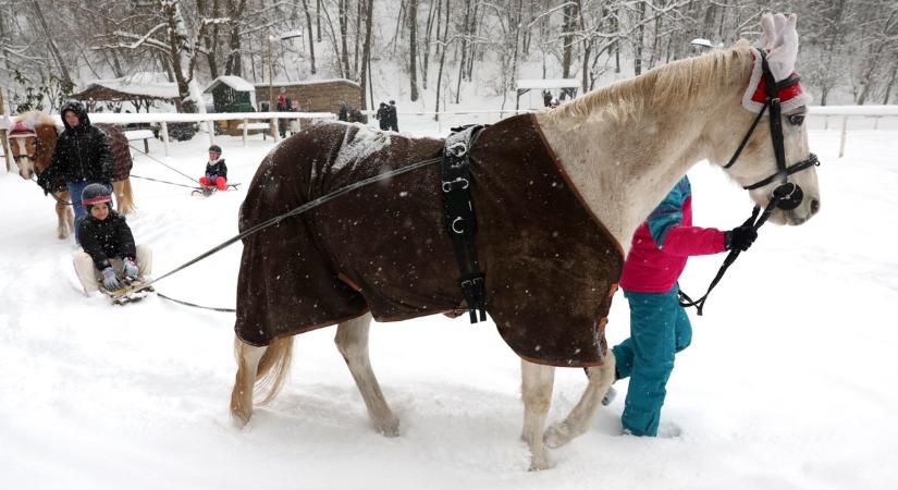 Előszedték a lovasszánokat Somogyban, a gyerekek örültek a legjobban – videó