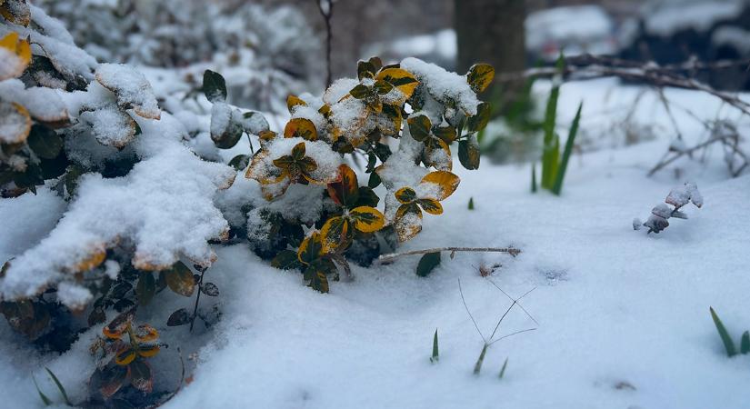 Extrém hideg jön Hajdú-Biharra péntek reggel – mínusz 15 fok alá is zuhanhat a hőmérséklet